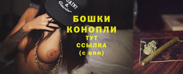 стафф Богданович