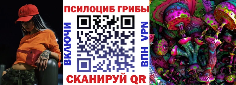 что такое наркотик  Дегтярск  Псилоцибиновые грибы Psilocybe 